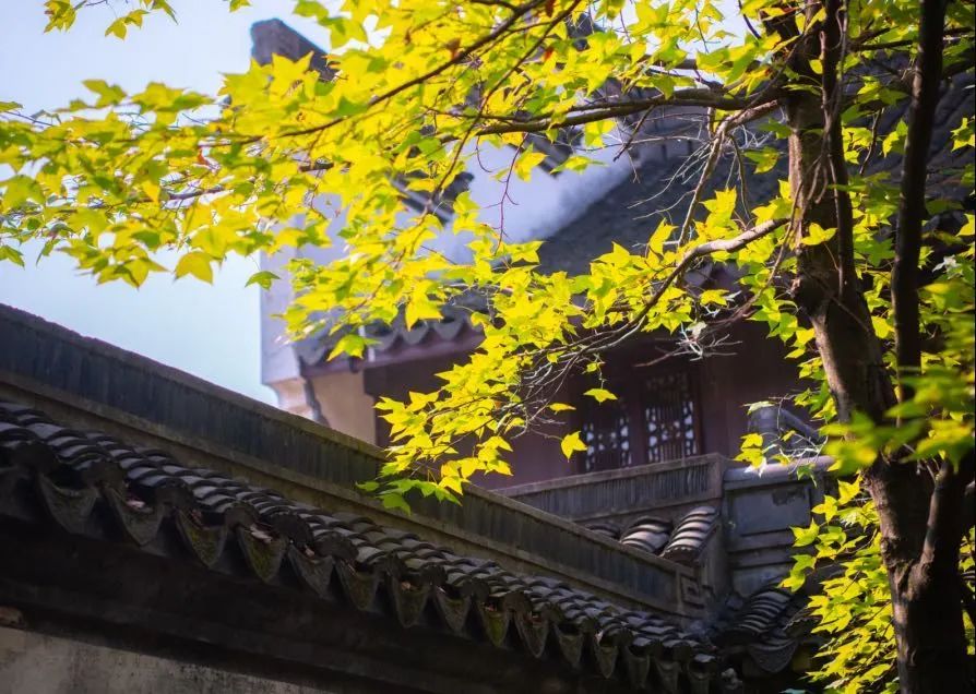 微信图片_20230404125645.jpg