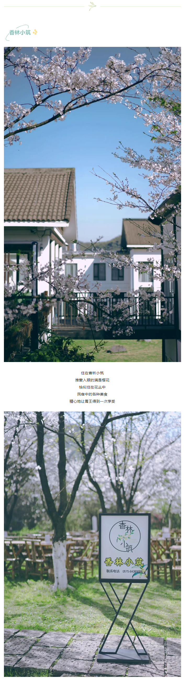 1650777888127619.jpg 【“醉”美鉴湖-香“鉴”恨晚】“樱”为有你,“樱”你而美_09.jpg