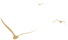 1659063334104472.png 微信图片_20220729105604.png