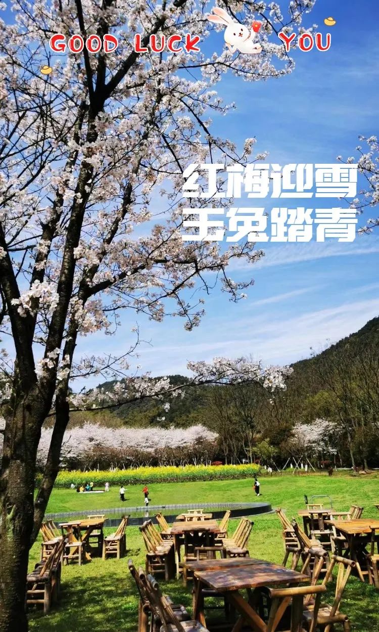 1680589692132086.jpg 微信图片_20230404140945.jpg