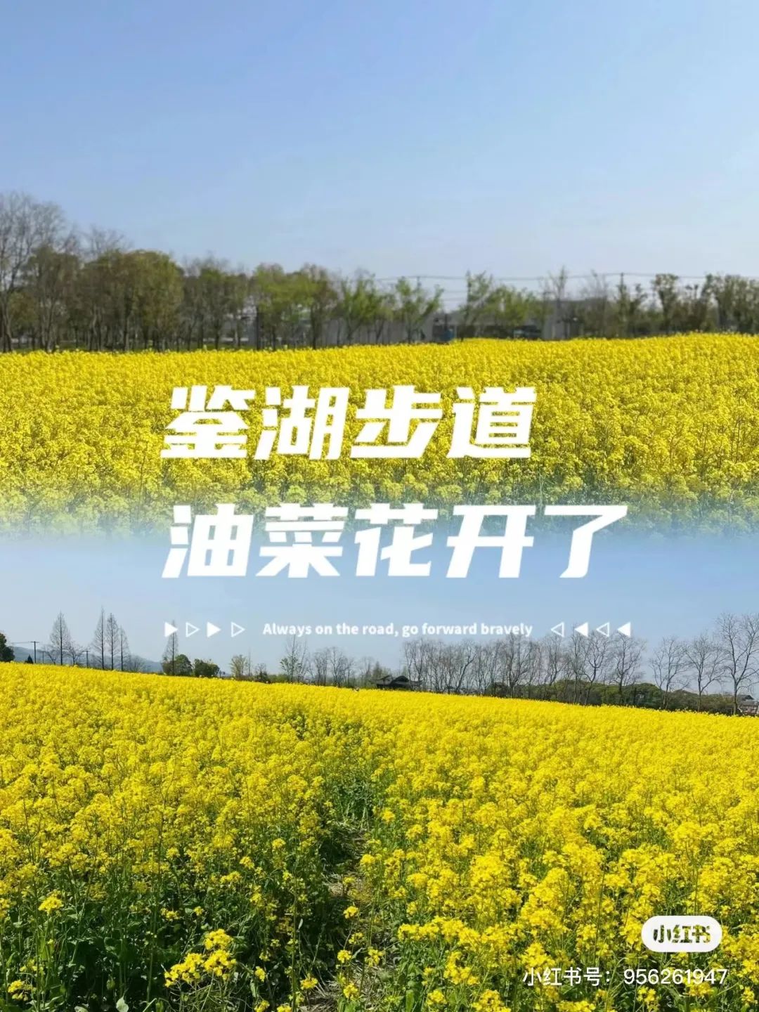 1680593666632954.jpg 微信图片_20230404152849.jpg