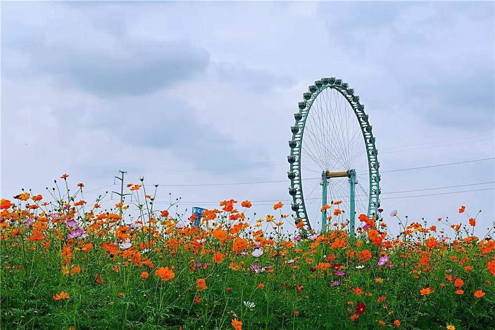 1687169102797378.png 微信图片_20230619180210.png