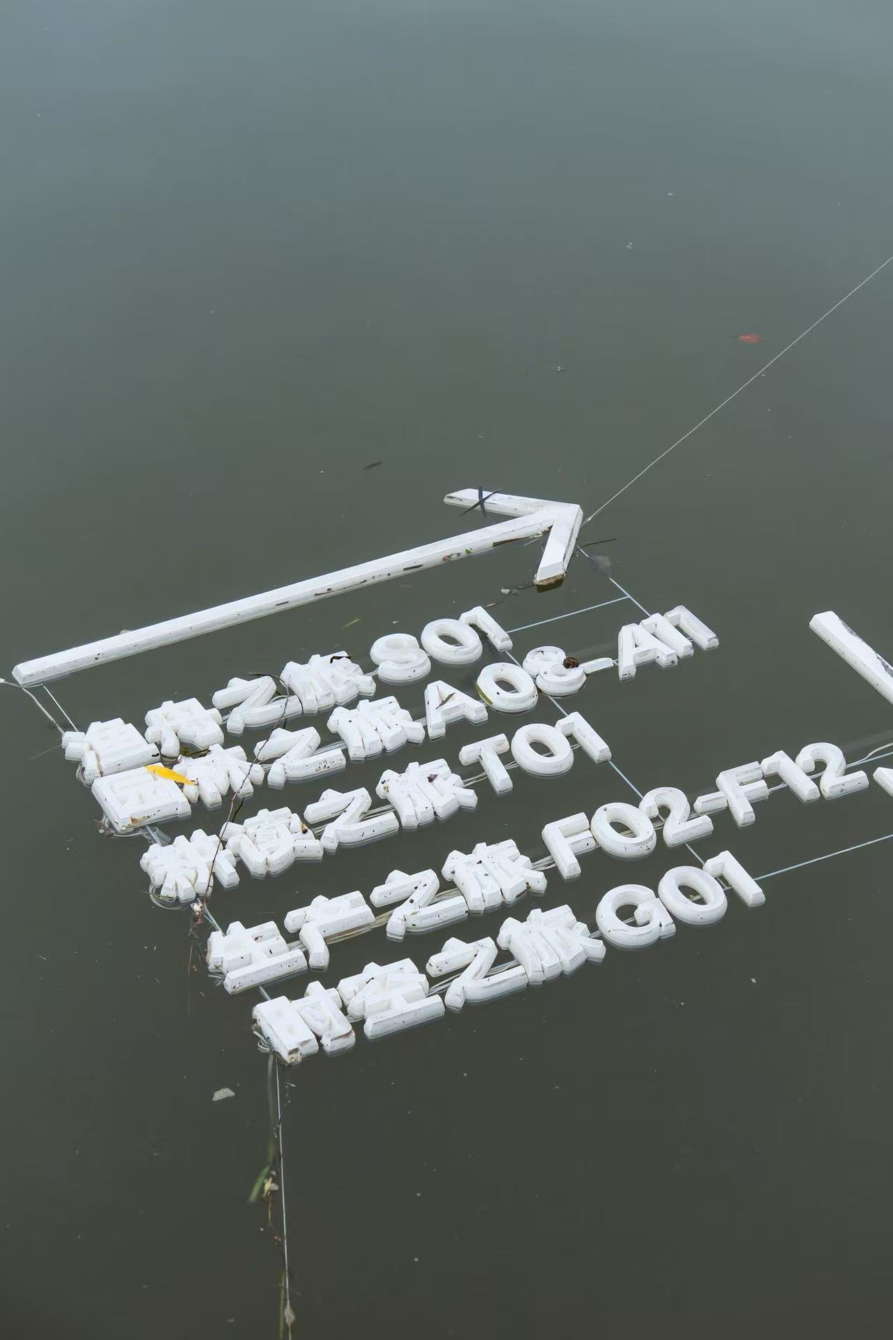 1790850755517099.jpg